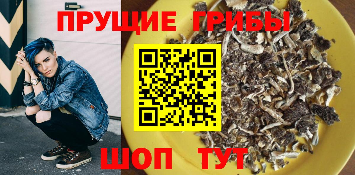 Галлюциногенные грибы MAGIC MUSHROOMS  Вход с VPN  Тельмана 